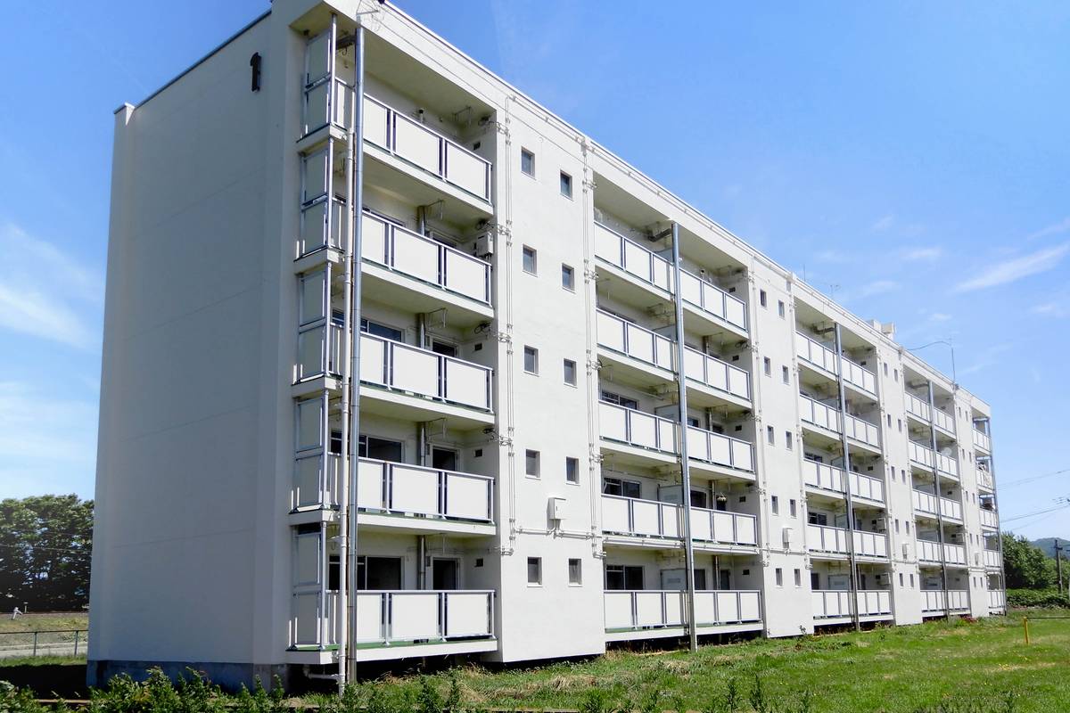  築53年11ヶ月 5階建の賃貸物件