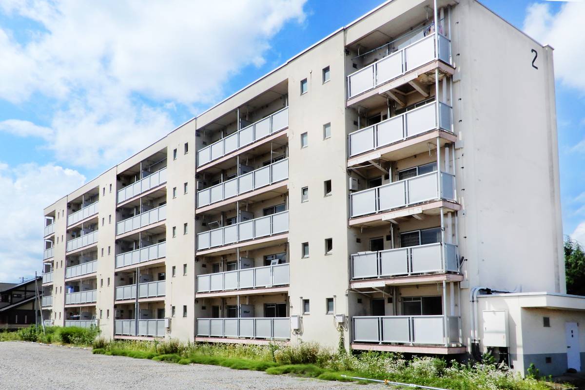  築53年9ヶ月 5階建の賃貸物件