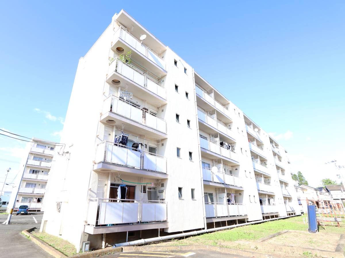  築52年4ヶ月 5階建の賃貸物件