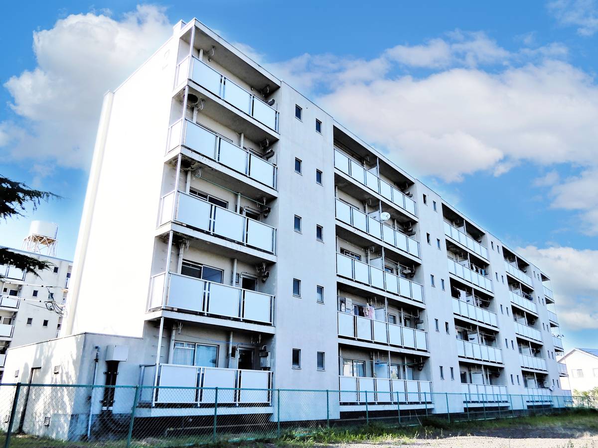  築51年8ヶ月 5階建の賃貸物件