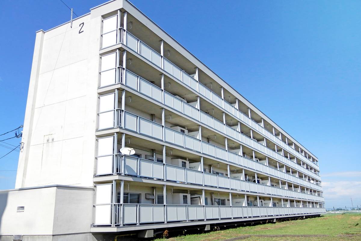  築49年6ヶ月 5階建の賃貸物件