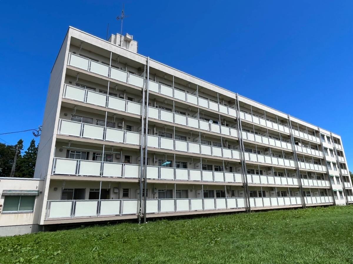  築49年6ヶ月 5階建の賃貸物件