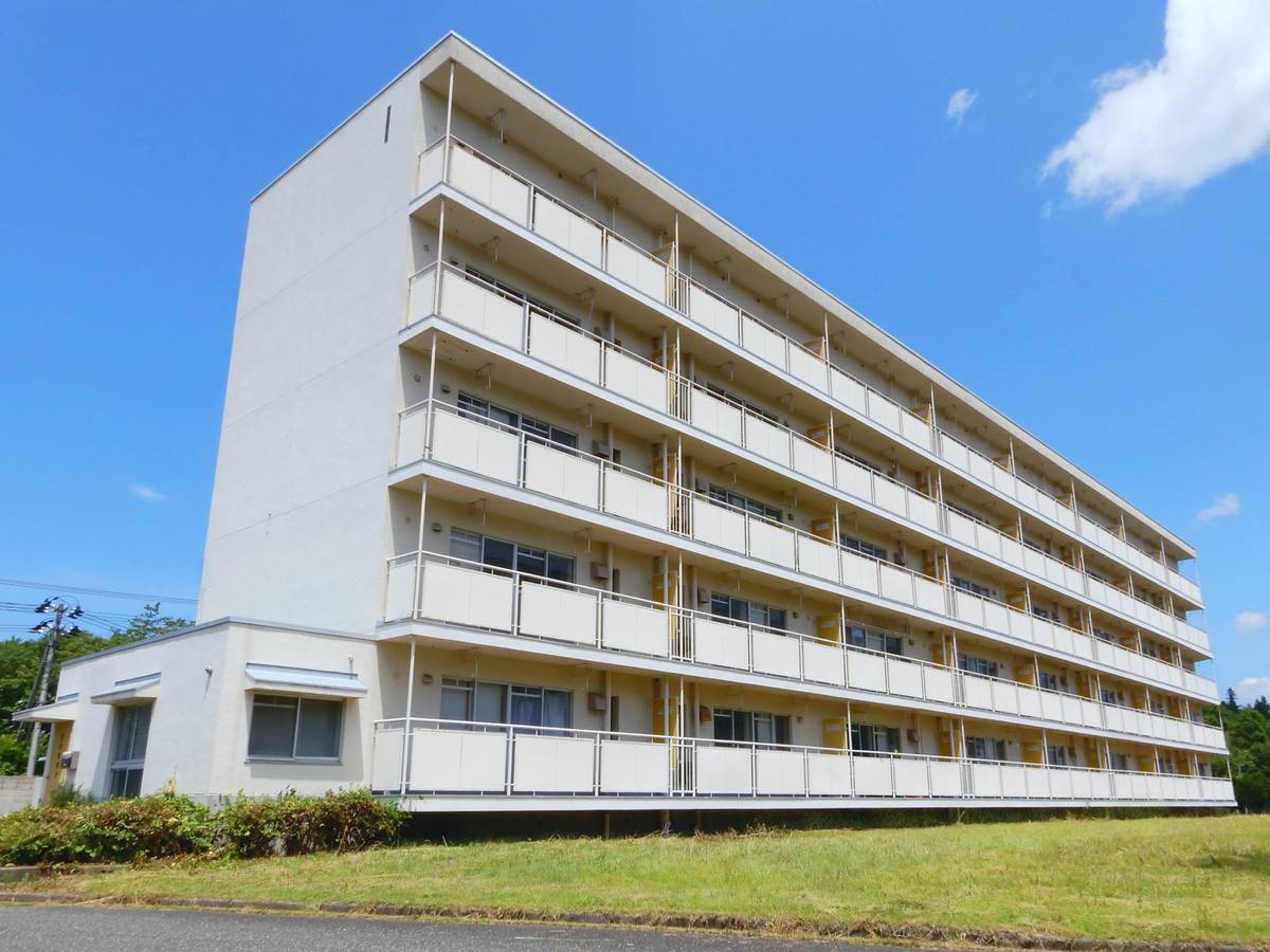  築46年11ヶ月 5階建の賃貸物件