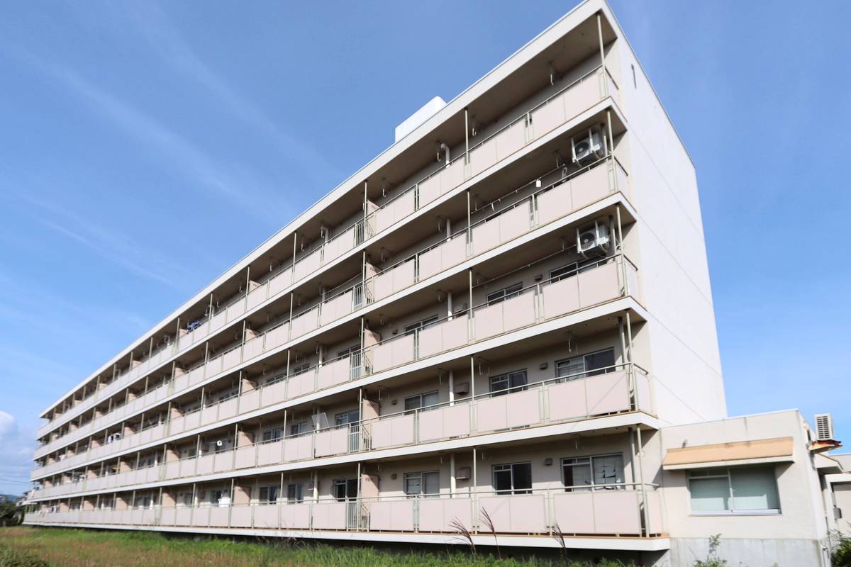  築46年7ヶ月 5階建の賃貸物件
