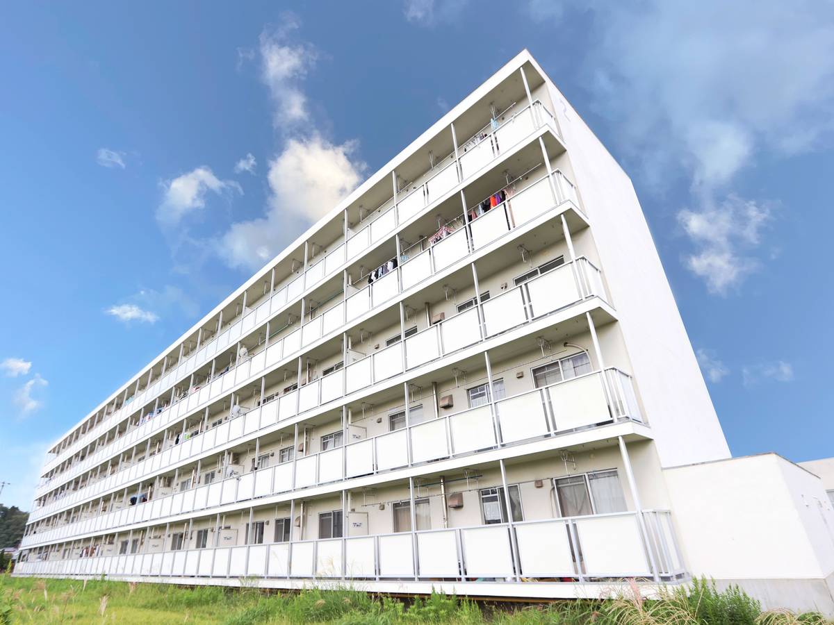  築44年11ヶ月 5階建の賃貸物件