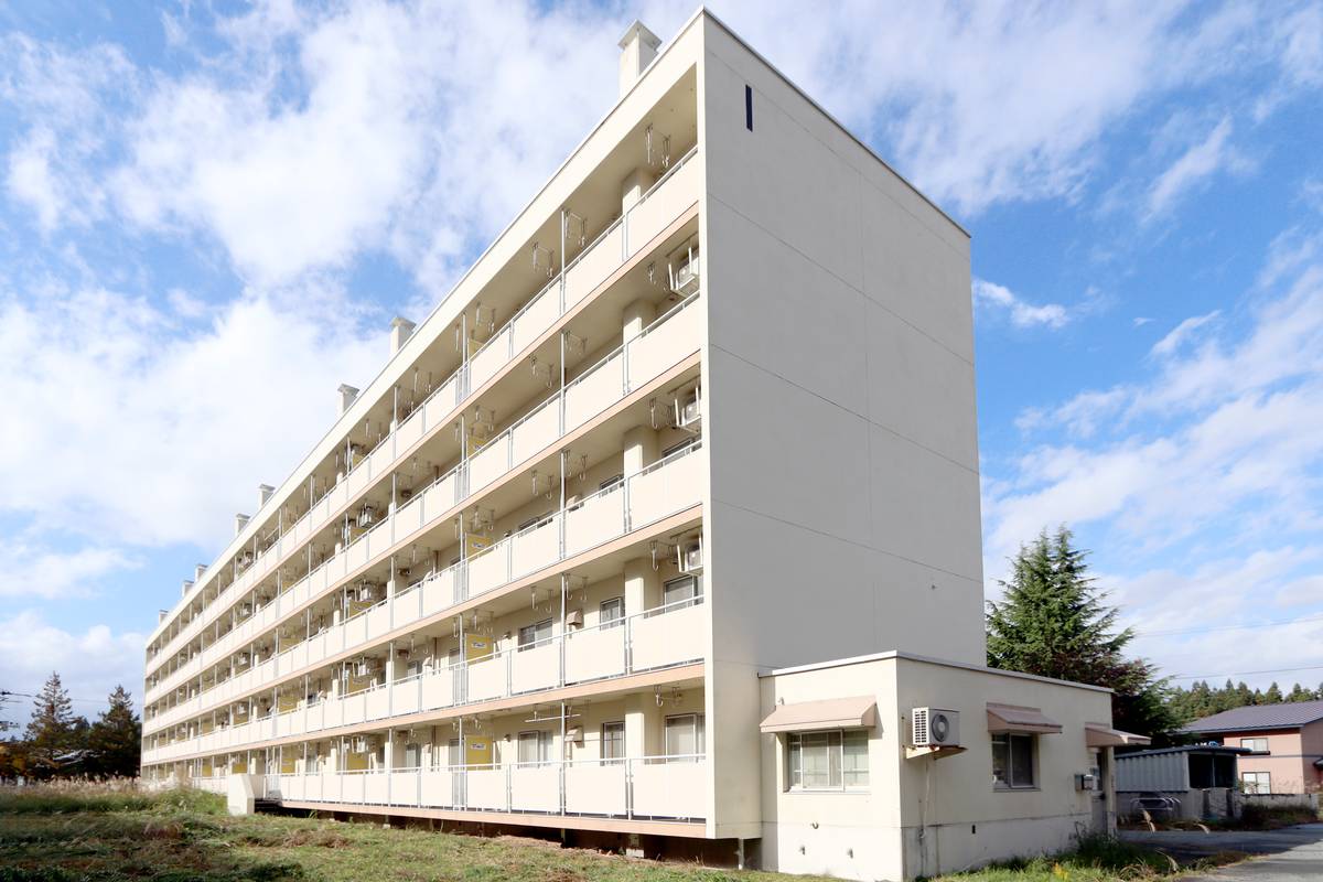  築43年3ヶ月 5階建の賃貸物件