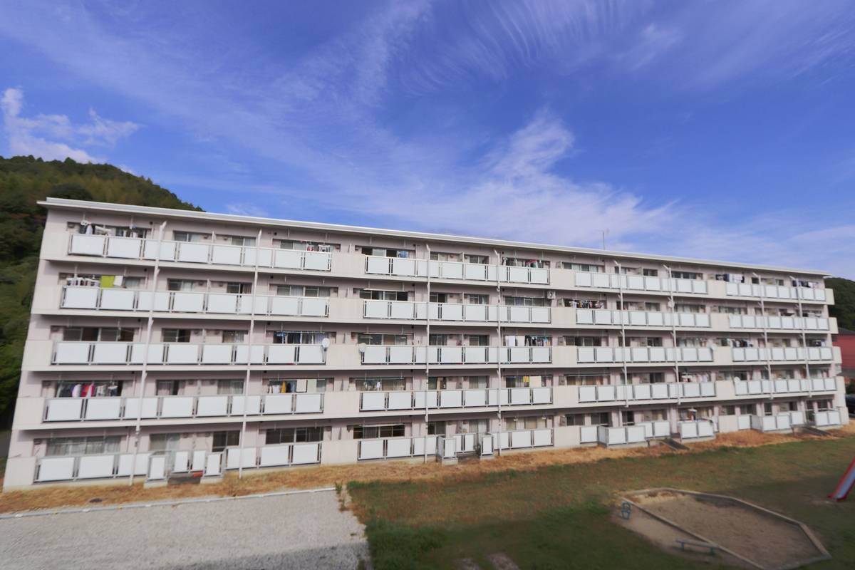  築41年11ヶ月 5階建の賃貸物件