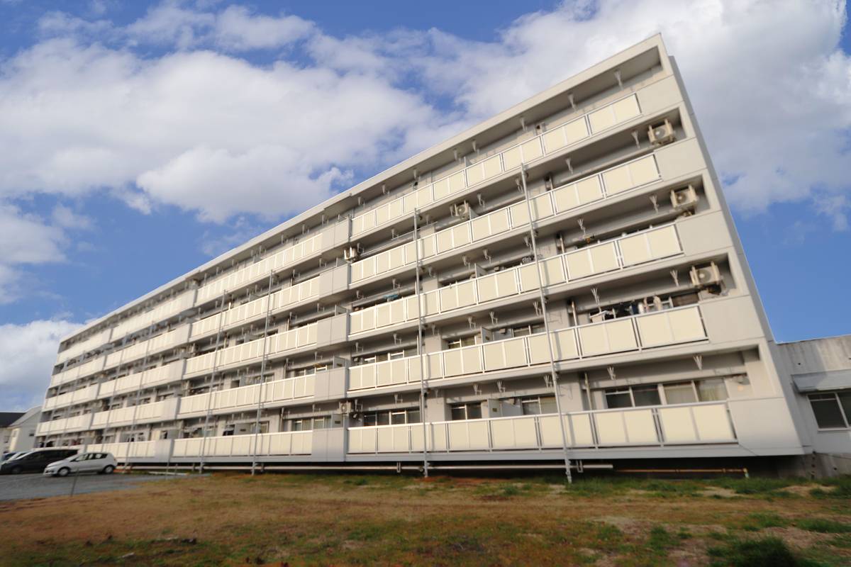  築36年9ヶ月 5階建の賃貸物件