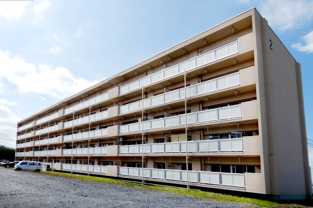  築36年7ヶ月 5階建の賃貸物件