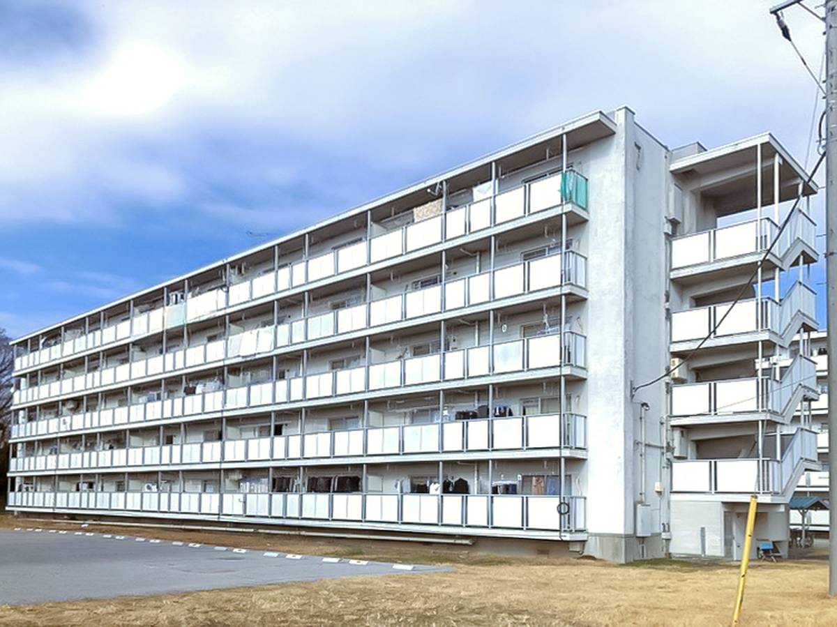  築57年11ヶ月 5階建の賃貸物件