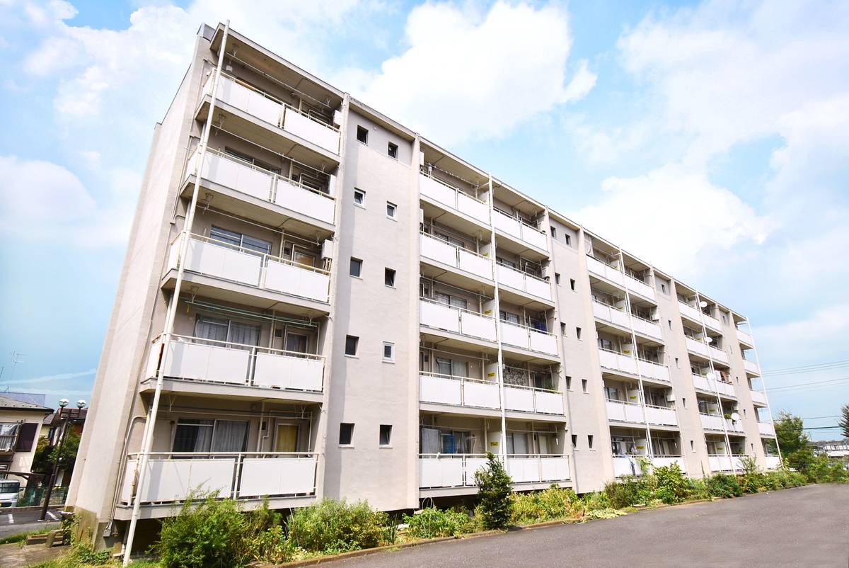  築55年5ヶ月 5階建の賃貸物件