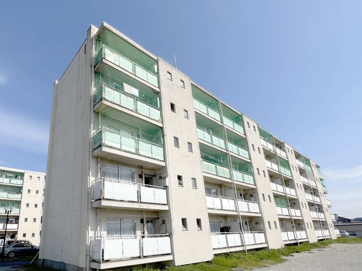  築53年11ヶ月 5階建の賃貸物件