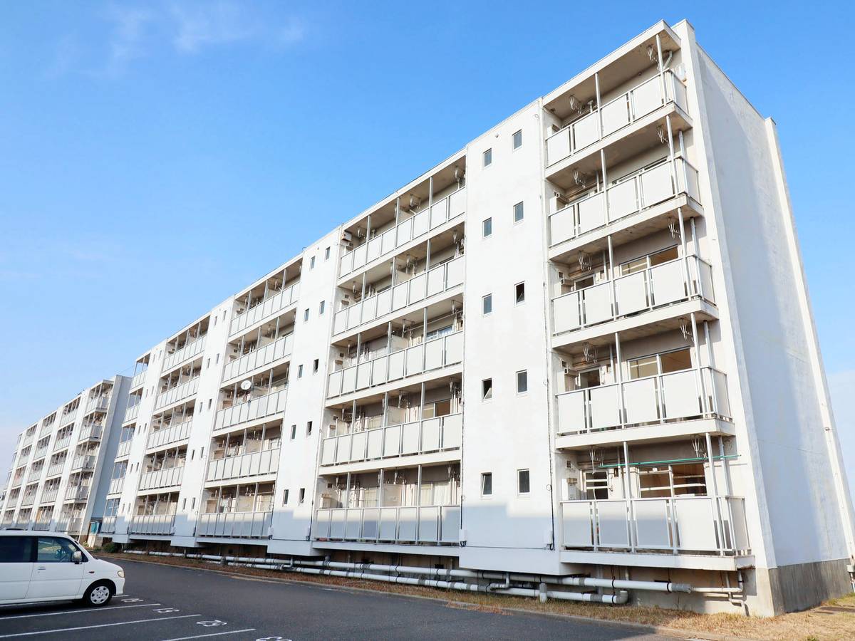  築54年1ヶ月 5階建の賃貸物件