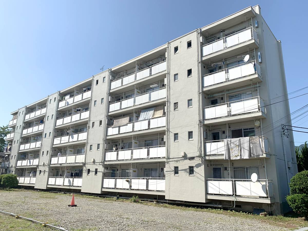  築54年1ヶ月 5階建の賃貸物件