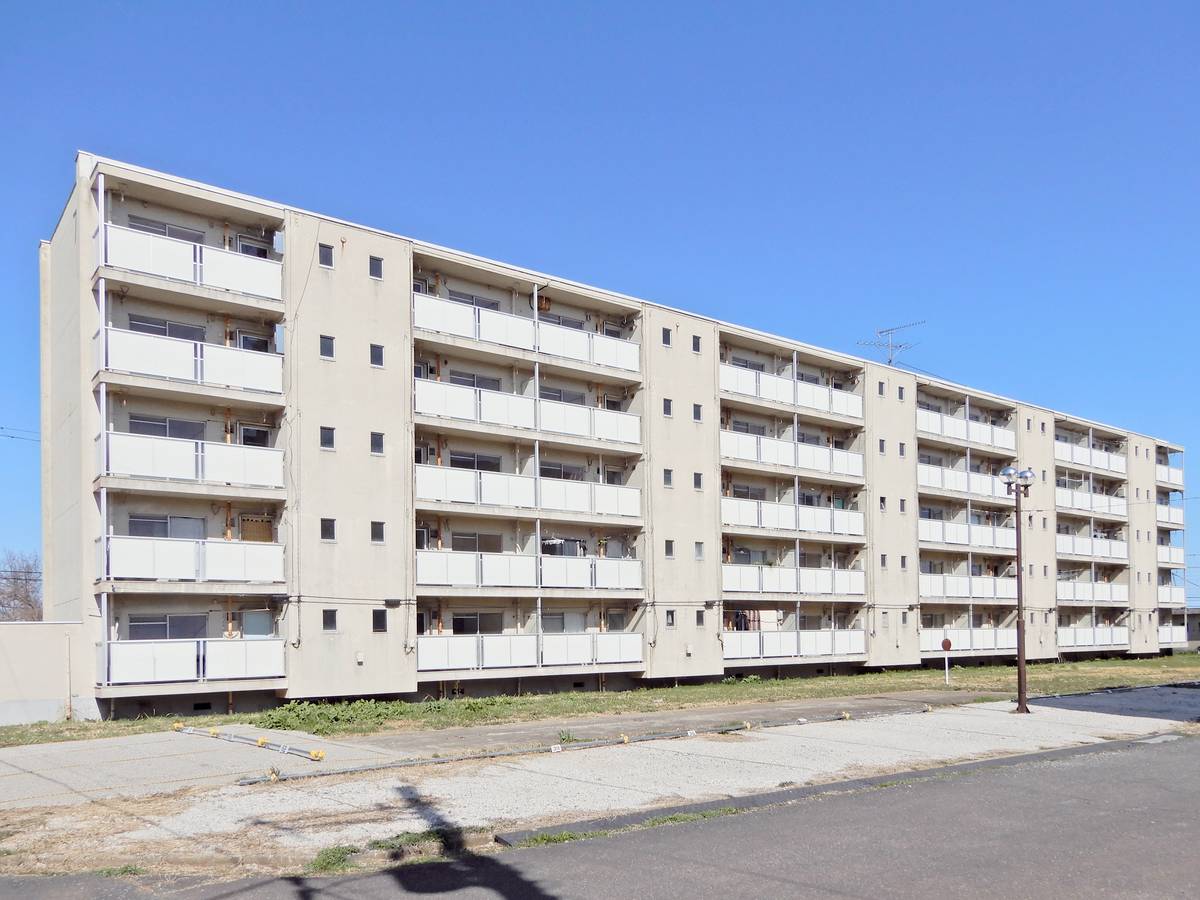  築54年3ヶ月 5階建の賃貸物件