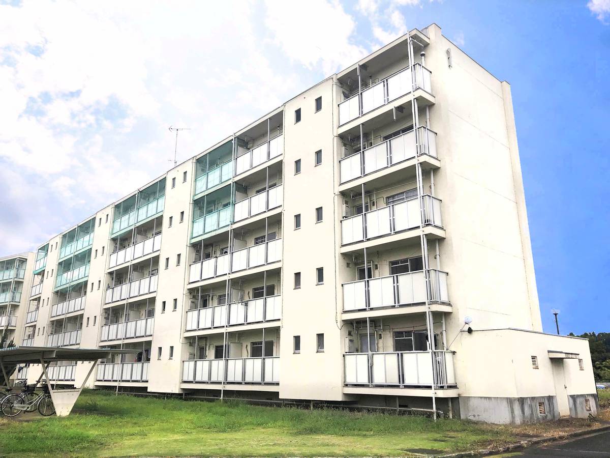  築54年4ヶ月 5階建の賃貸物件