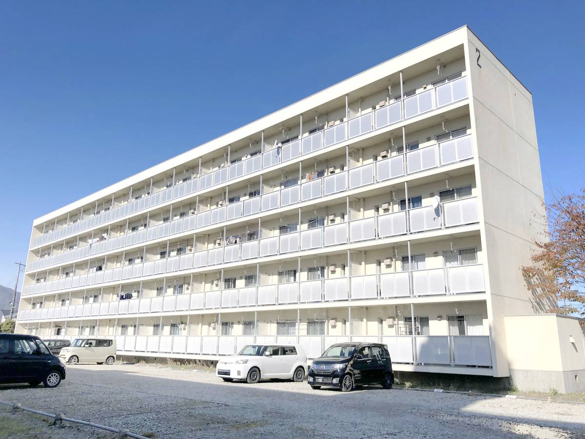  築45年11ヶ月 5階建の賃貸物件