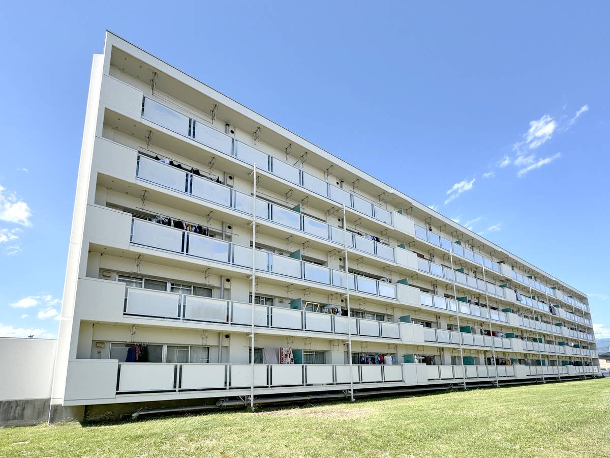  築36年6ヶ月 5階建の賃貸物件