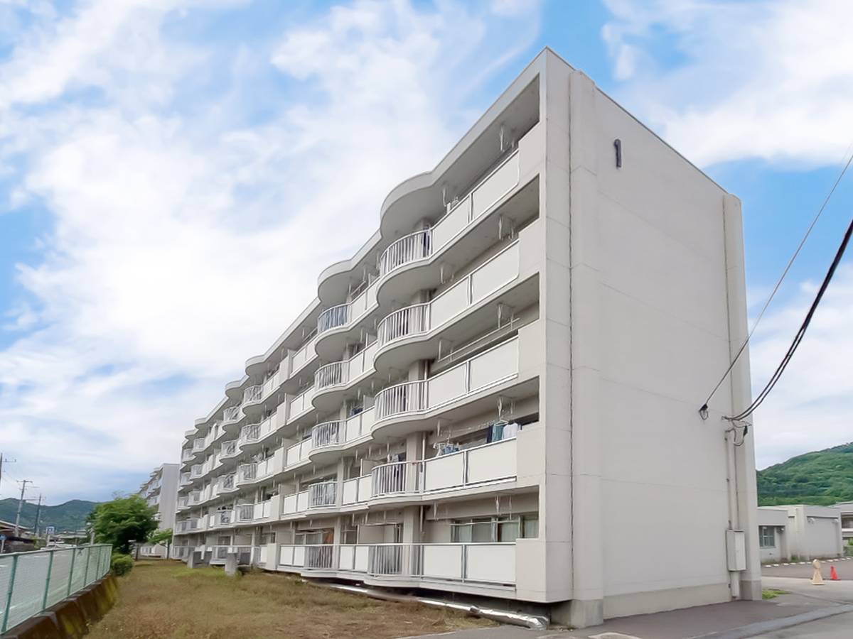  築30年6ヶ月 5階建の賃貸物件
