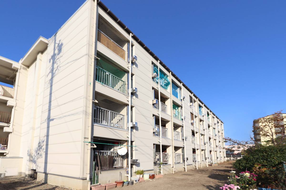  築62年9ヶ月 4階建の賃貸物件