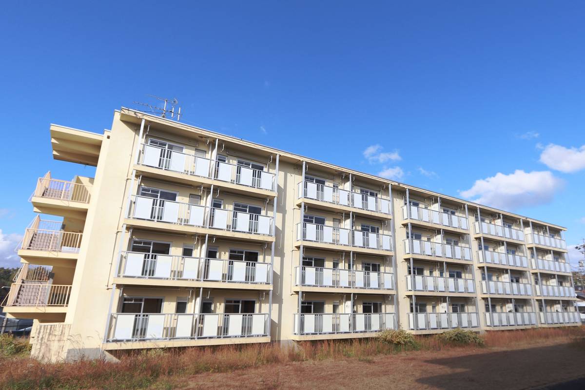  築60年 4階建の賃貸物件