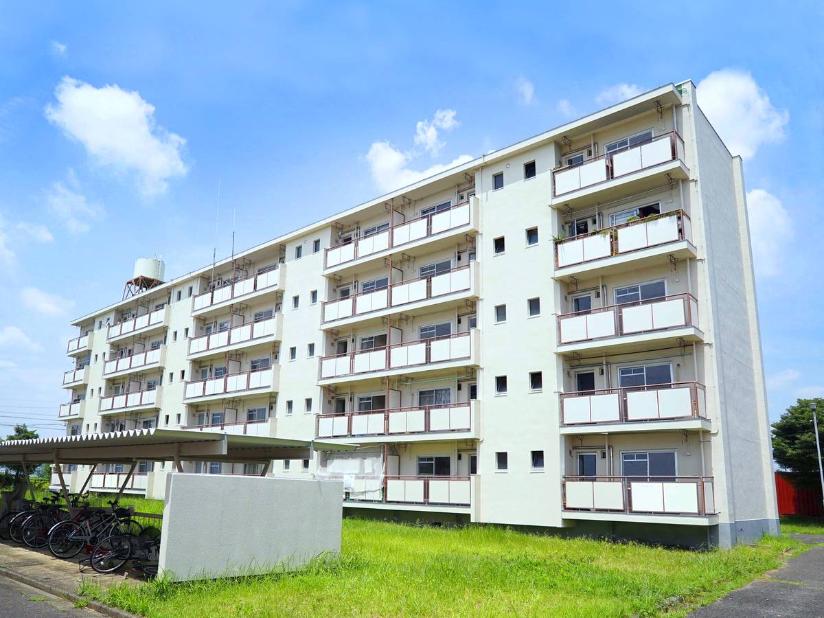  築54年9ヶ月 5階建の賃貸物件