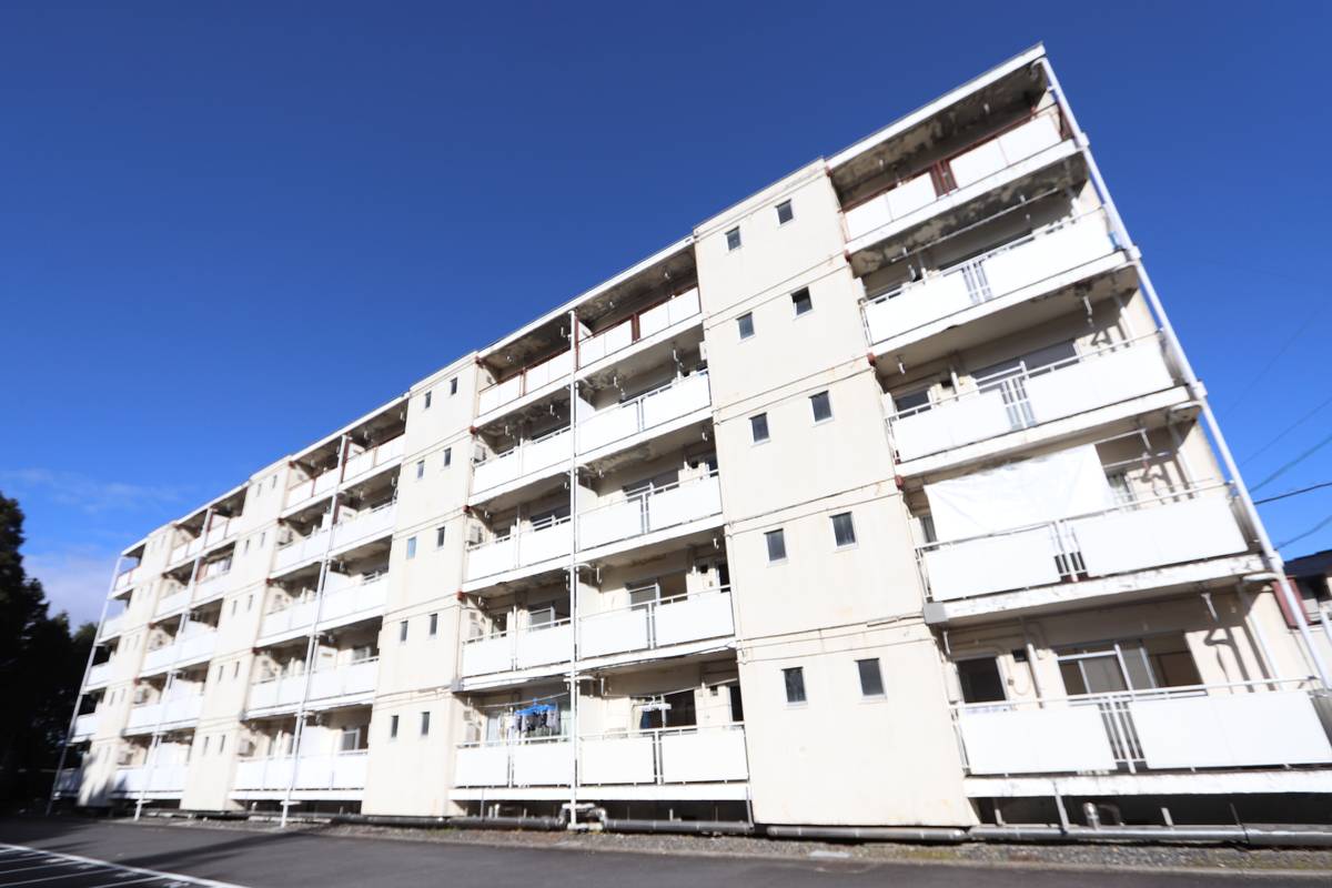  築53年11ヶ月 5階建の賃貸物件