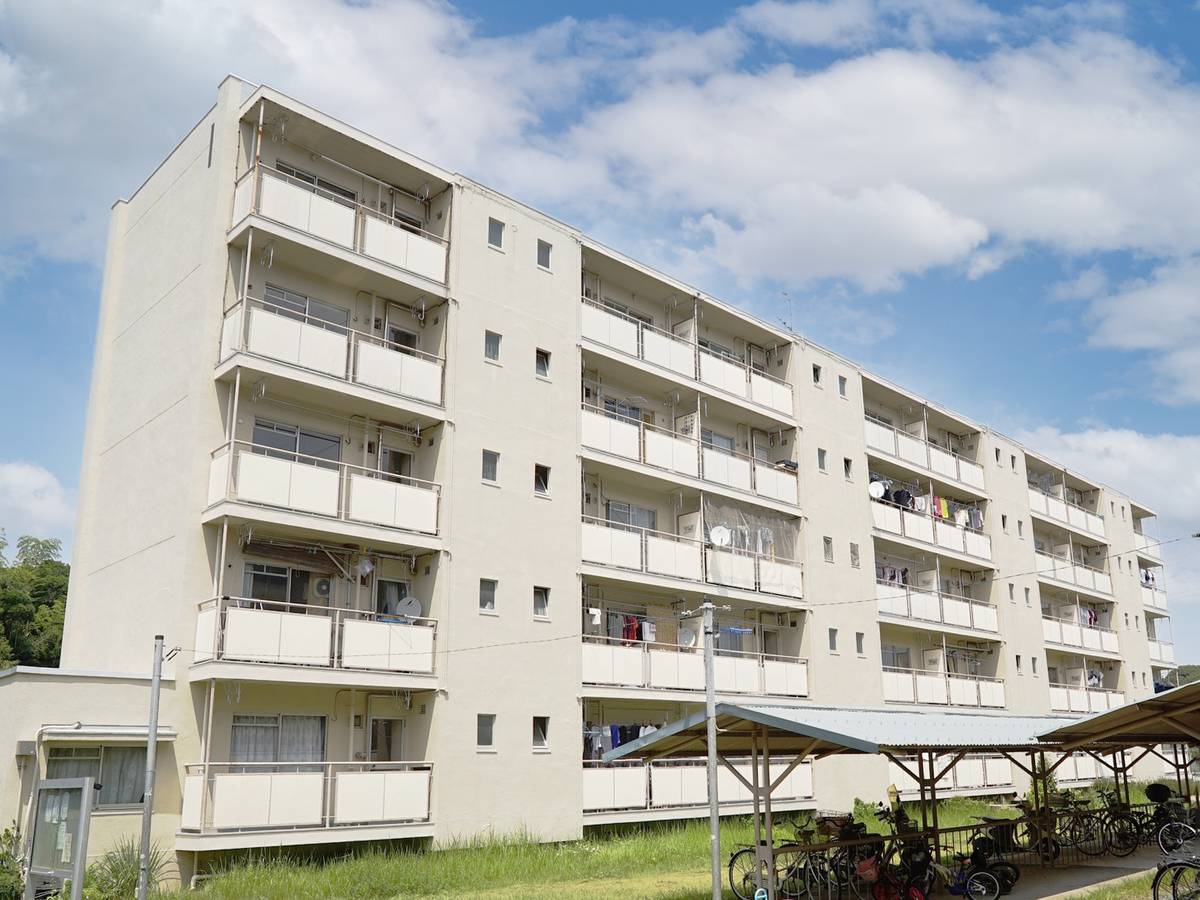  築53年10ヶ月 5階建の賃貸物件