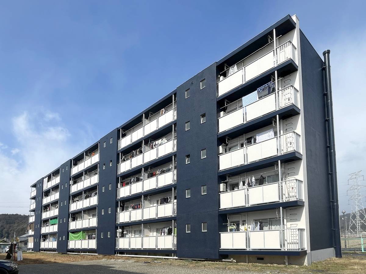  築52年7ヶ月 5階建の賃貸物件