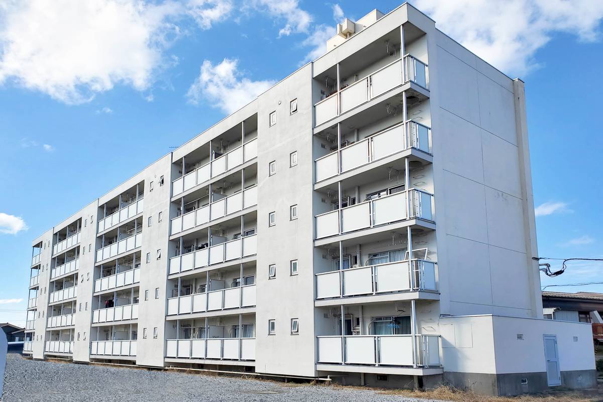  築51年11ヶ月 5階建の賃貸物件