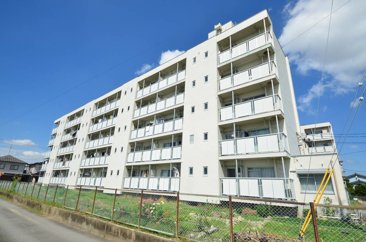  築52年9ヶ月 5階建の賃貸物件