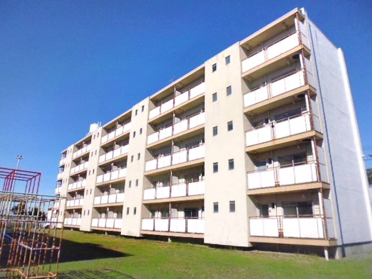  築50年10ヶ月 5階建の賃貸物件