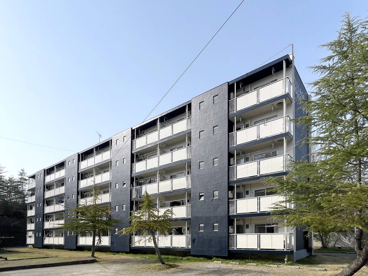  築51年 5階建の賃貸物件