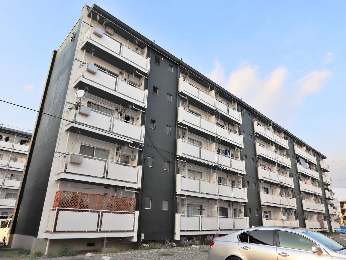  築53年11ヶ月 5階建の賃貸物件