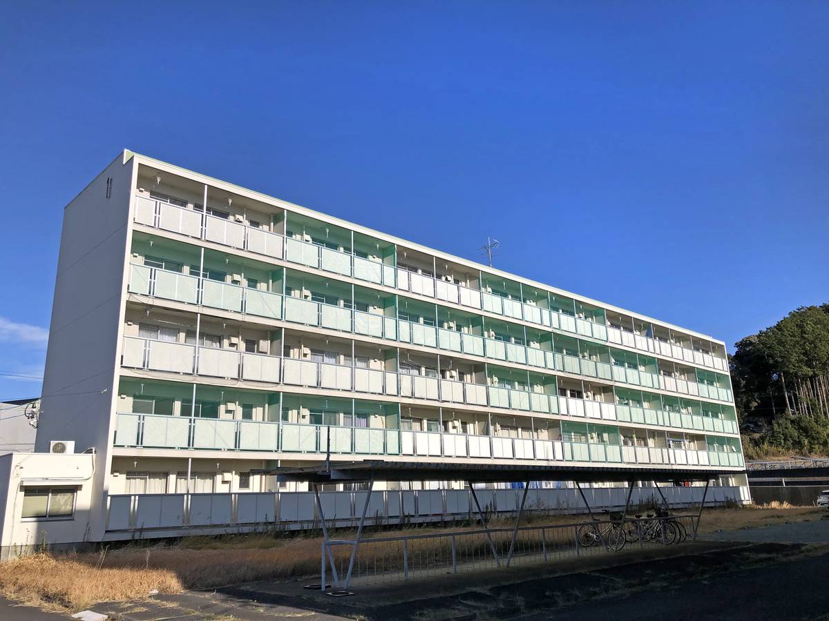  築49年10ヶ月 5階建の賃貸物件