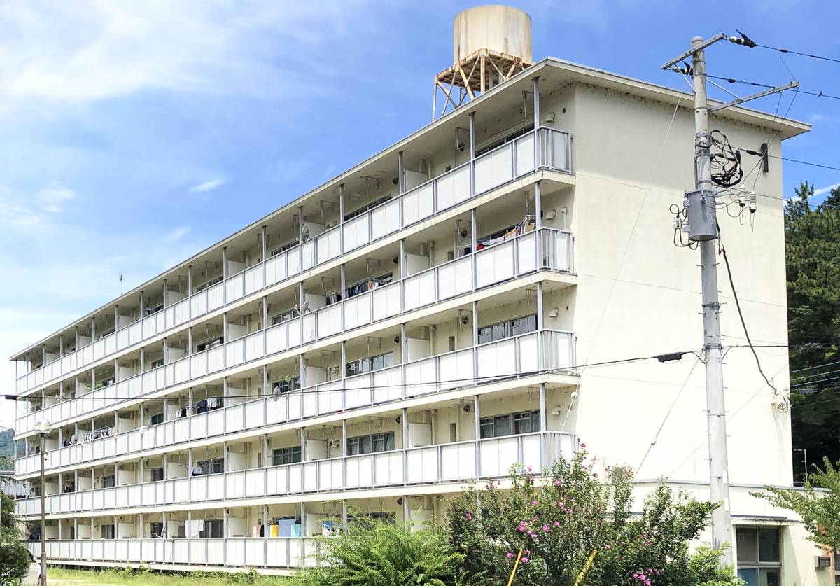  築49年5ヶ月 5階建の賃貸物件