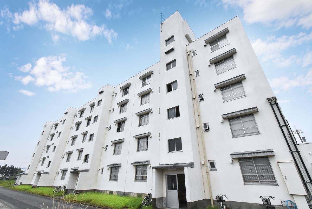  築49年1ヶ月 5階建の賃貸物件