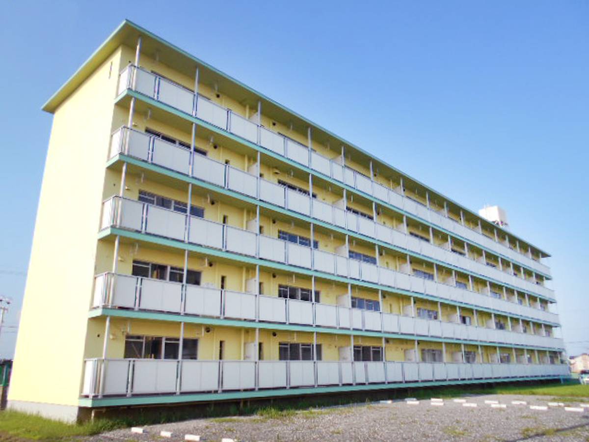  築48年5ヶ月 5階建の賃貸物件
