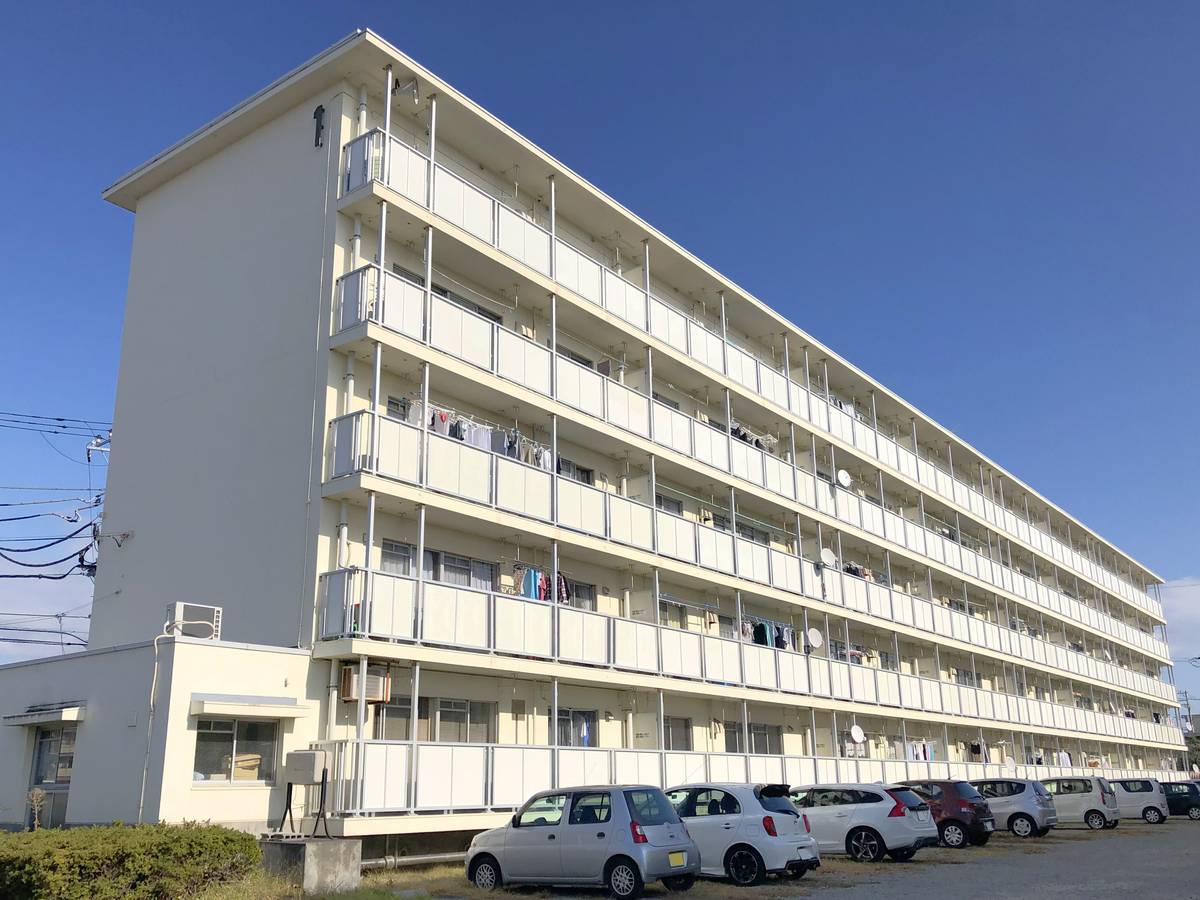  築47年6ヶ月 5階建の賃貸物件