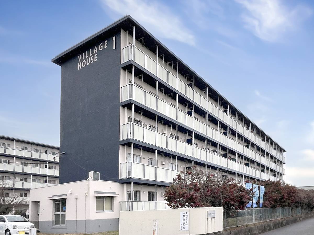 築44年5ヶ月 5階建の賃貸物件