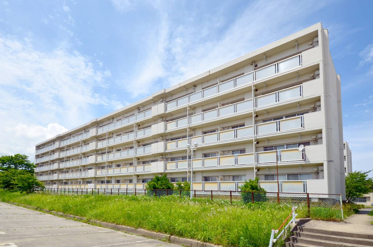  築43年4ヶ月 5階建の賃貸物件