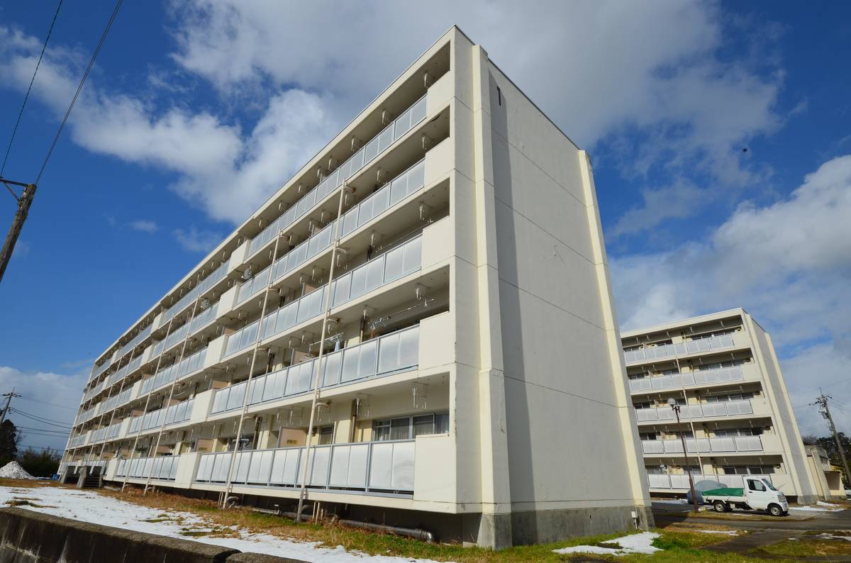  築39年1ヶ月 5階建の賃貸物件