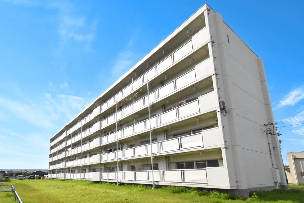  築36年9ヶ月 5階建の賃貸物件