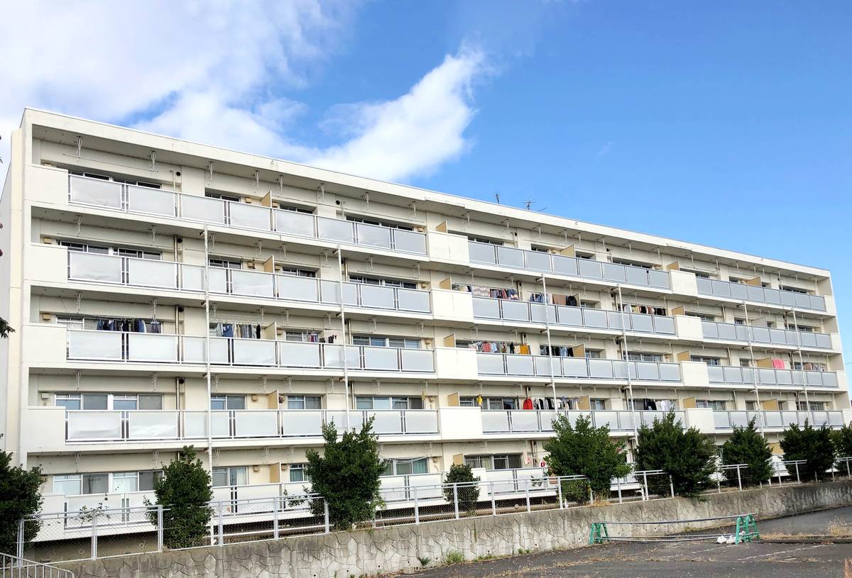  築35年8ヶ月 5階建の賃貸物件