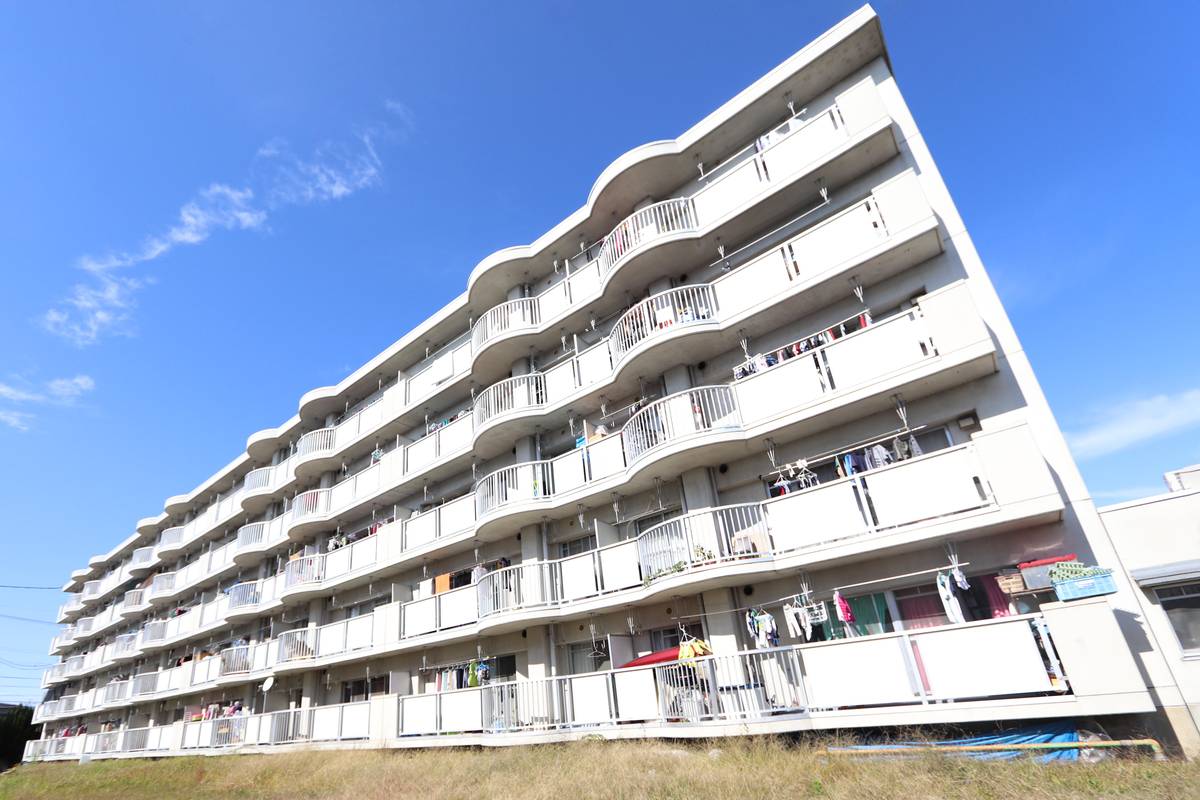  築31年9ヶ月 5階建の賃貸物件