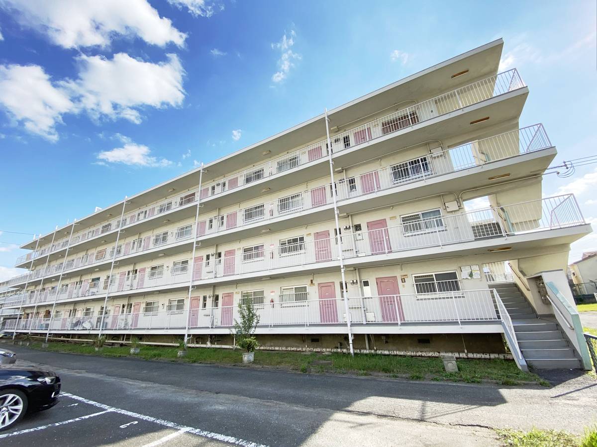  築60年10ヶ月 4階建の賃貸物件