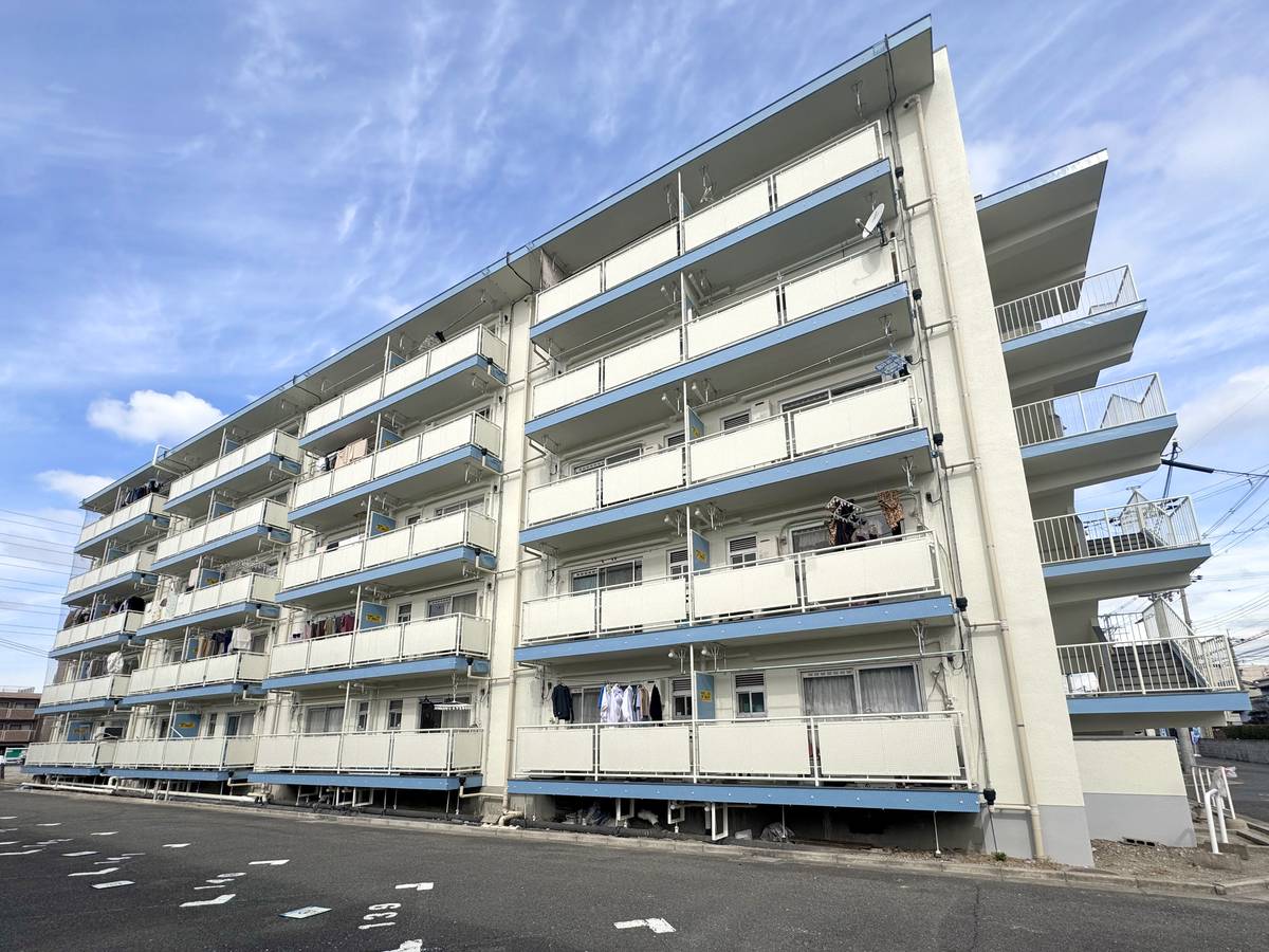  築58年11ヶ月 5階建の賃貸物件