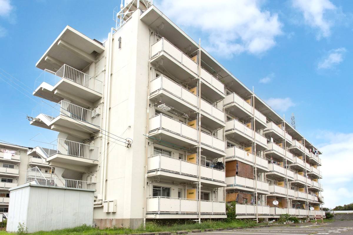  築57年 5階建の賃貸物件