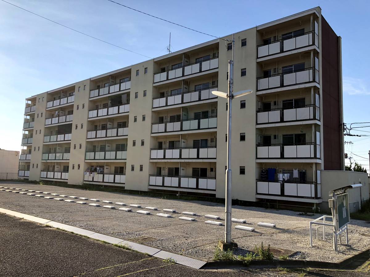  築50年2ヶ月 5階建の賃貸物件