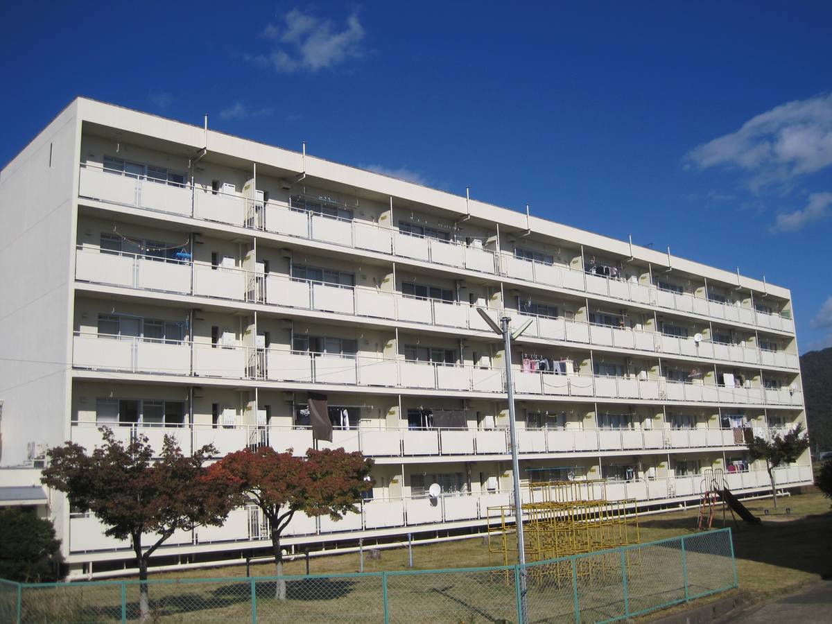  築47年11ヶ月 5階建の賃貸物件